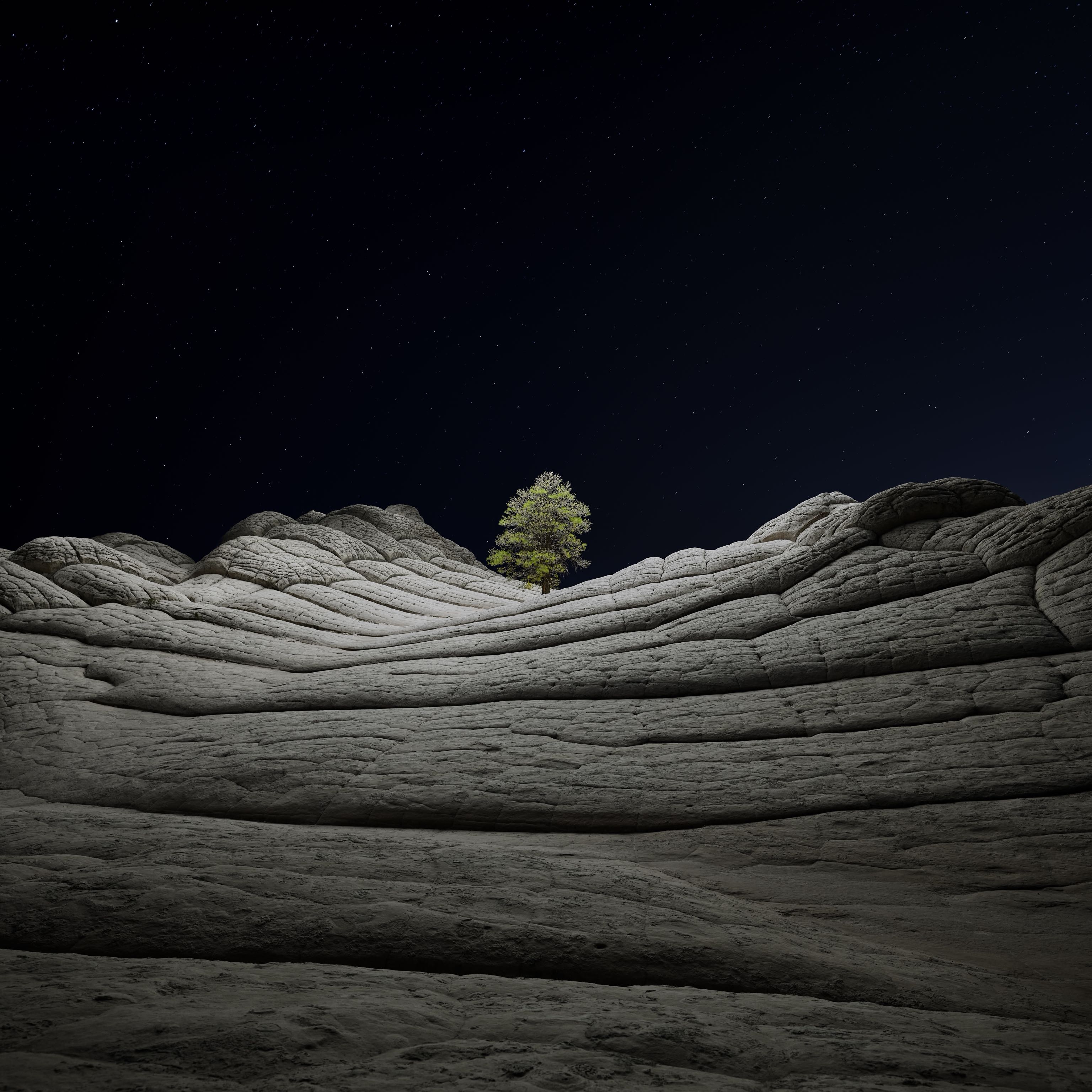 Desert Tree Dark Mode.jpg